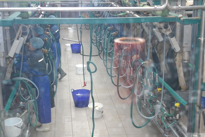 DSC 0921