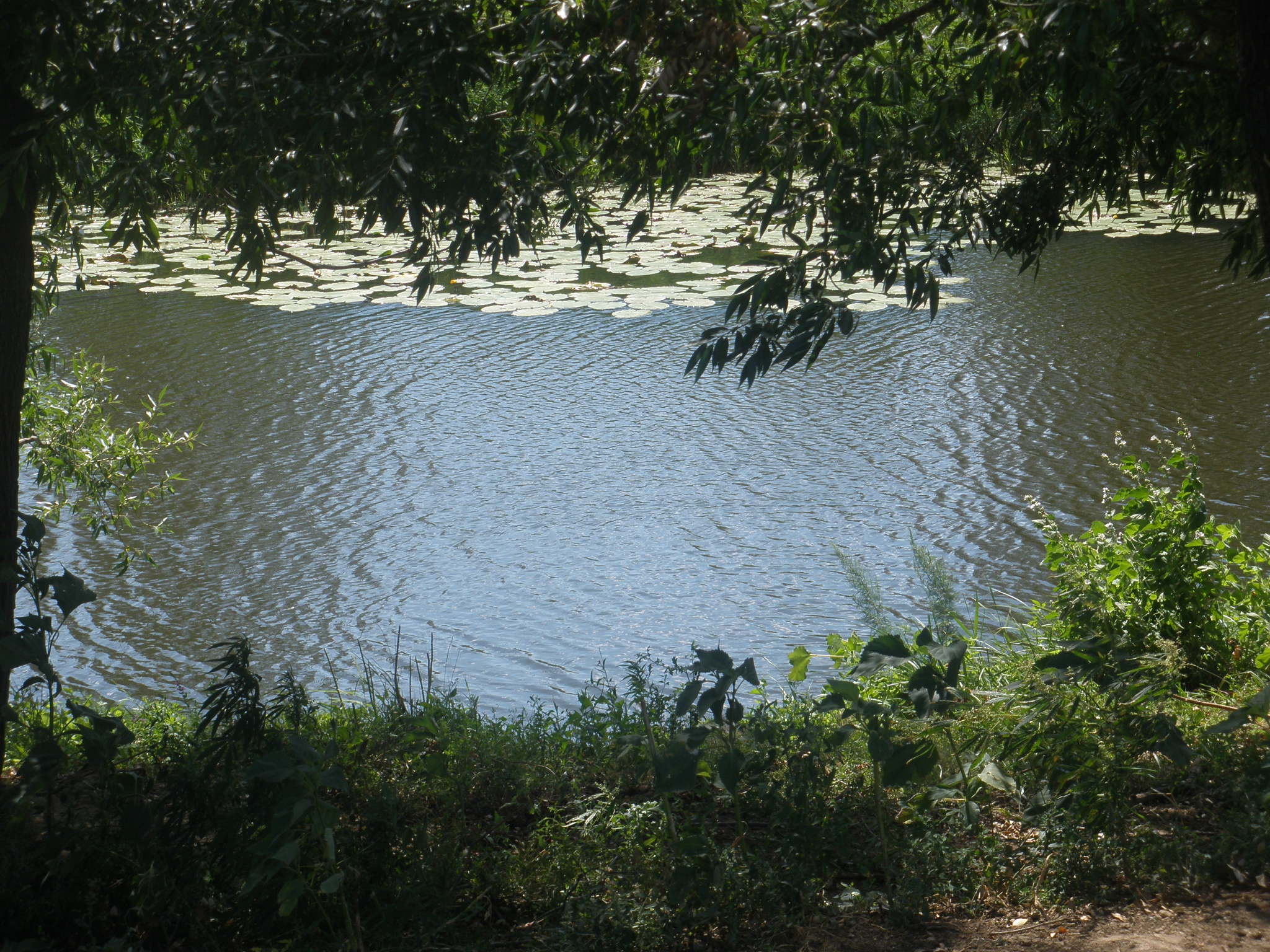 p7221784 - 