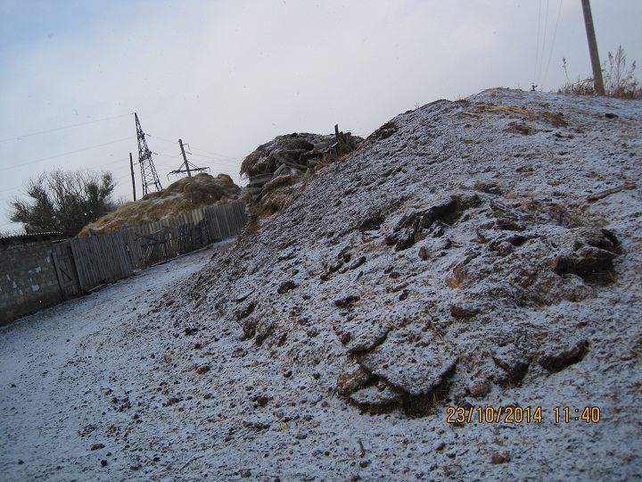 IMG 9662