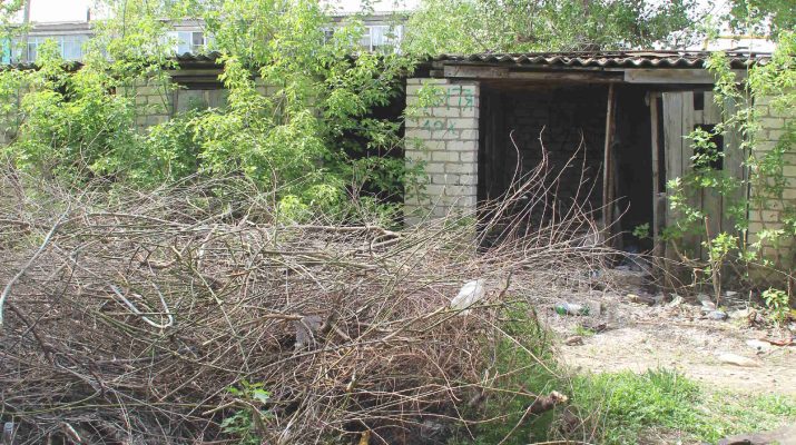 Da tolko voz i nyne tam 1