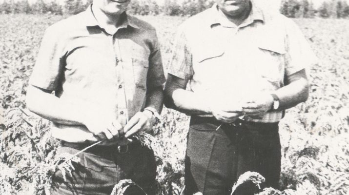 Polveka Alekseja Elina 1