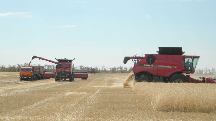 V Volgare vidy na urozhaj horoshie 7