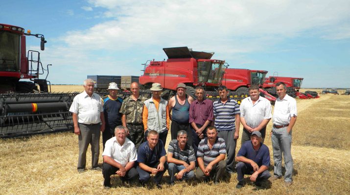 V Volgare vidy na urozhaj horoshie 8