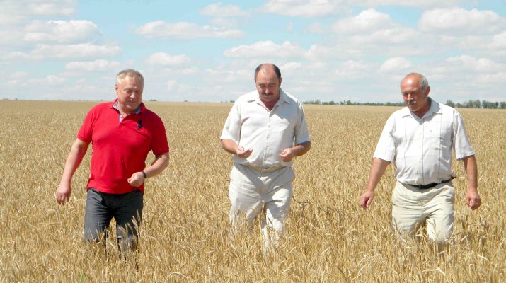 Zlak - zhitnica jelitnyh semjan 1