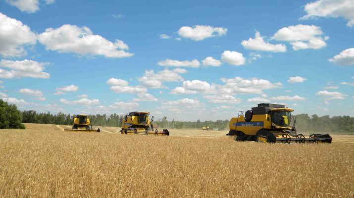 Zlak - zhitnica jelitnyh semjan 2