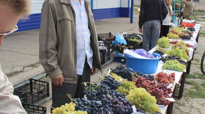 stepnaya loza po bolsheglushicki 1