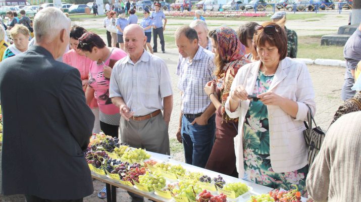 stepnaya loza po bolsheglushicki 2