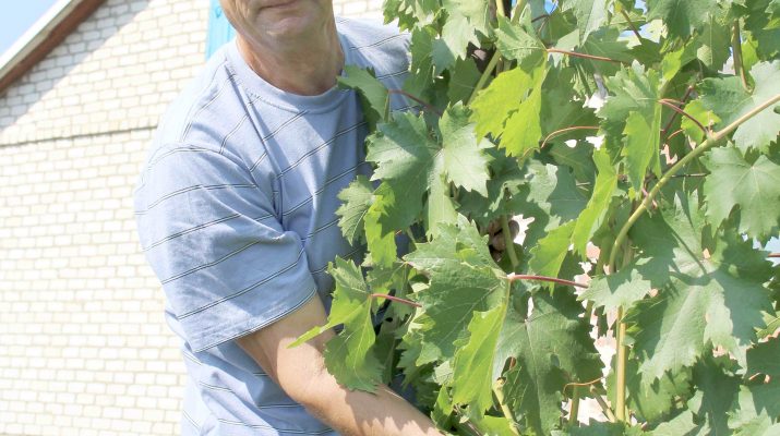 vo sadu li v ogorode 1