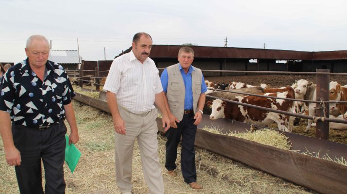 zachet sdan ekzamen vperedi 1