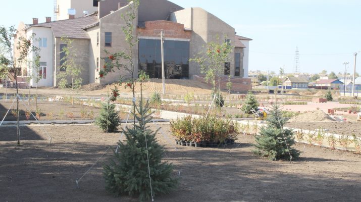 zeleneet nasha ploshhad 1