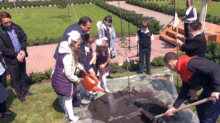 videonovosti 12 05 2016