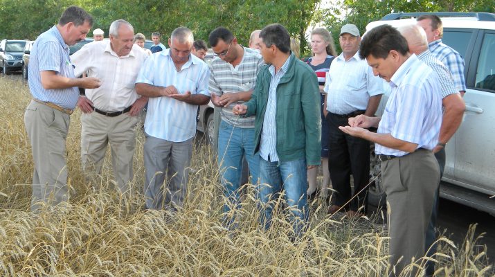 v nadejde na horohie rezultati