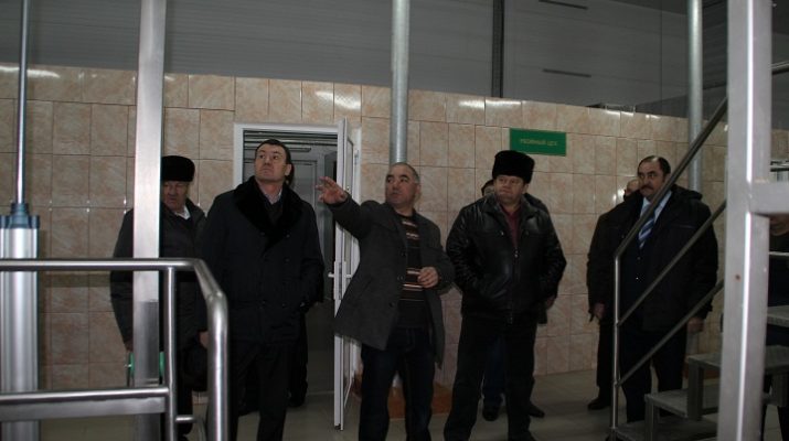 осуществляя задуманное