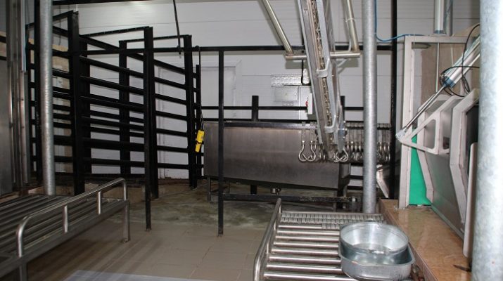 осуществляя задуманное2